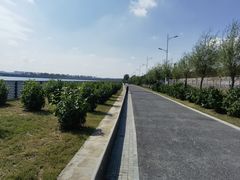 -丁香湖公园