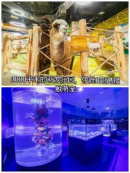 -七巧国萌宠乐园(龙湖天街店)