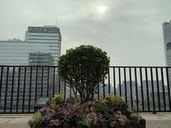 -一品淮扬 · 淮扬菜·北京万达文华酒店