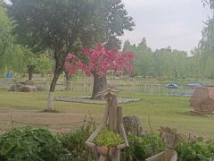 -祥源·阜阳生态乐园