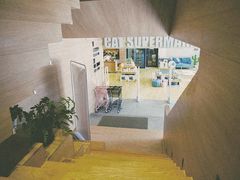 -CAT’S MEWSTAR CAFE·喵星球猫屋(晴湾咖啡店)