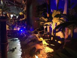 -恐龙探索乐园(磁器口店)