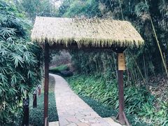 -天目湖涵田半山温泉