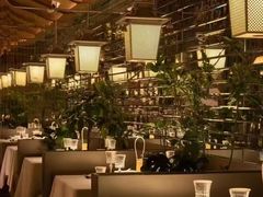 -桂满陇·海市蜃楼·黑金(国金店)