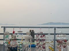 -悦海公园