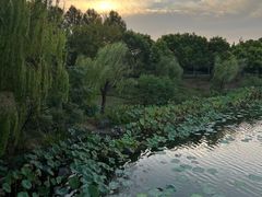-上海怡沁园度假酒店