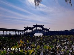 -锦溪古镇