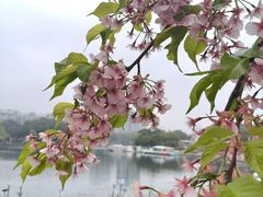 -新江湾城公园