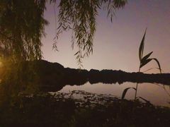 -上海市保健医疗中心