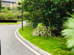 -清远熹乐谷温泉度假酒店