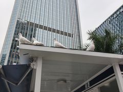 -万达广场(广州番禺店)