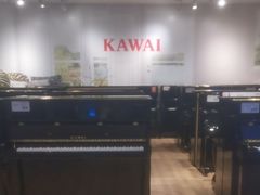 -柏斯音乐艺术中心·钢琴·吉他(世纪金源店)