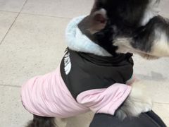 -FAELING PETS美天灵宠物(富力广场店)