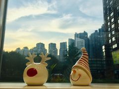 -蒲公英(五里店)