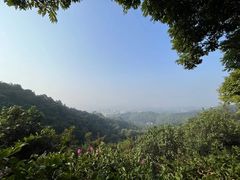 -火炉山森林公园