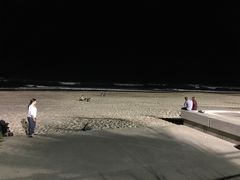 -黄金海岸
