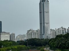 -万绿园