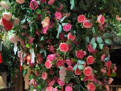 -野山舂·贵州现舂酸汤火锅(鸿通城店)