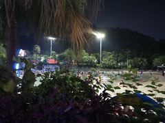 -重庆海昌加勒比海水世界