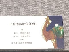 -北京周口店北京人遗址博物馆