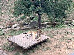 -大连森林动物园