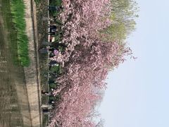 -元大都城垣遗址公园