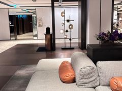 -新加坡乌节希尔顿酒店 (SG Clean)