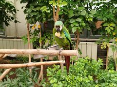 -南宫五洲植物乐园