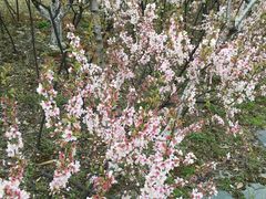 -白塘生态植物园