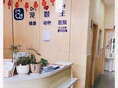 -宠颐生维康宠物医院(金丰店)