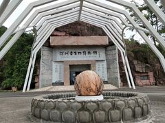 -深圳仙湖植物园