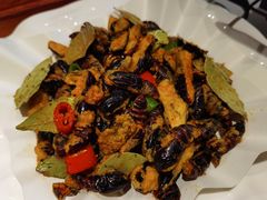 椒盐蚕蛹-奇滋豆味(南十四道街店)