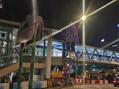 -Big Bus Tours 敞篷观光巴士