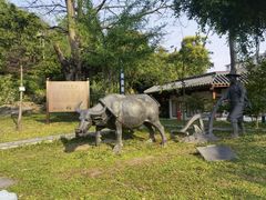 -广州神农草堂中医药博物馆