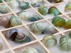 -摩登百货(岗顶店)