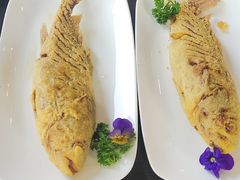 -老牌坊鲁菜名店(聊城美食岛店)
