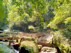 -碧峰峡风景区