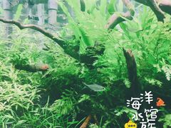 -郑州海洋馆