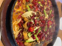 -老板恋上鱼(恒隆广场店)