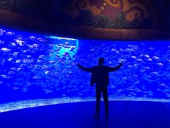 -波塞冬旅游度假区