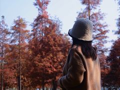 -白鹭湾湿地公园