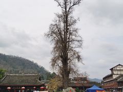 -崇州市街子古镇