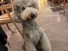 -沏点Trattoria意大利餐厅(新街口店)