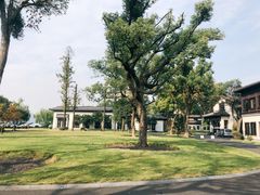 -杭州西湖柳莺里酒店