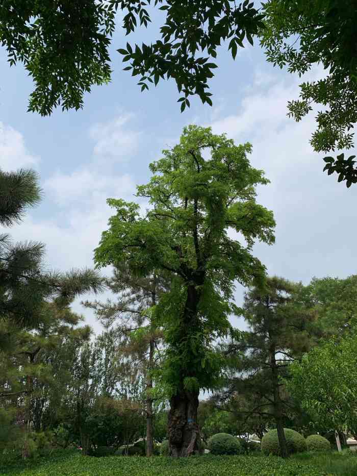 德胜公园-"比较常走的是鼓楼这半段大部分时候只能是.