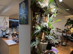 -本無咖啡·BeanWood Coffee