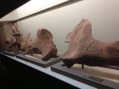 iphone_upload_pic-世界恐龙谷景区