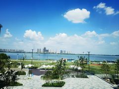 -漾花汐·西餐·下午茶(苏州湾歌林公园店)