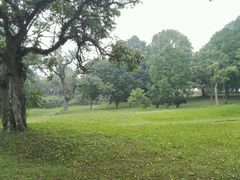 -福建鲤鱼洲酒店