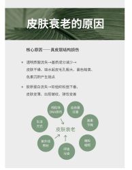 -玛莲朵·海菲秀冰珀科